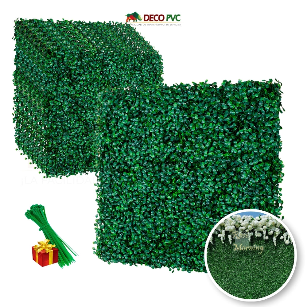 Muro Verde - DECOFLORA®