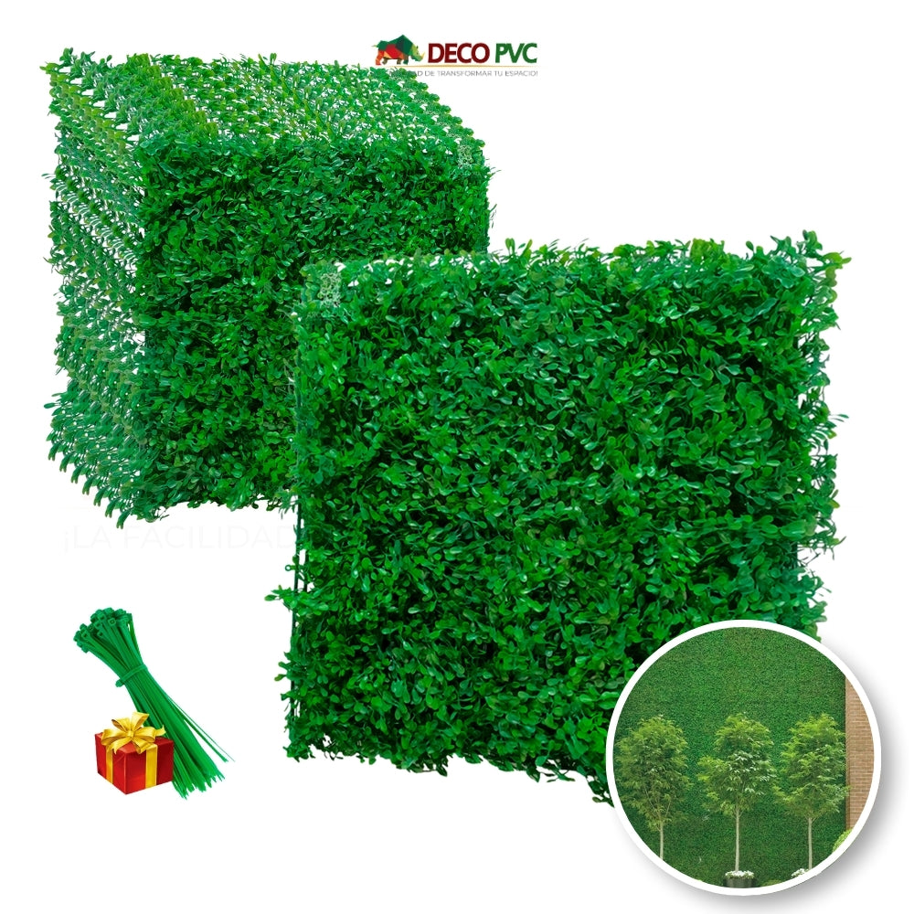 Muro Verde - DECOFLORA®