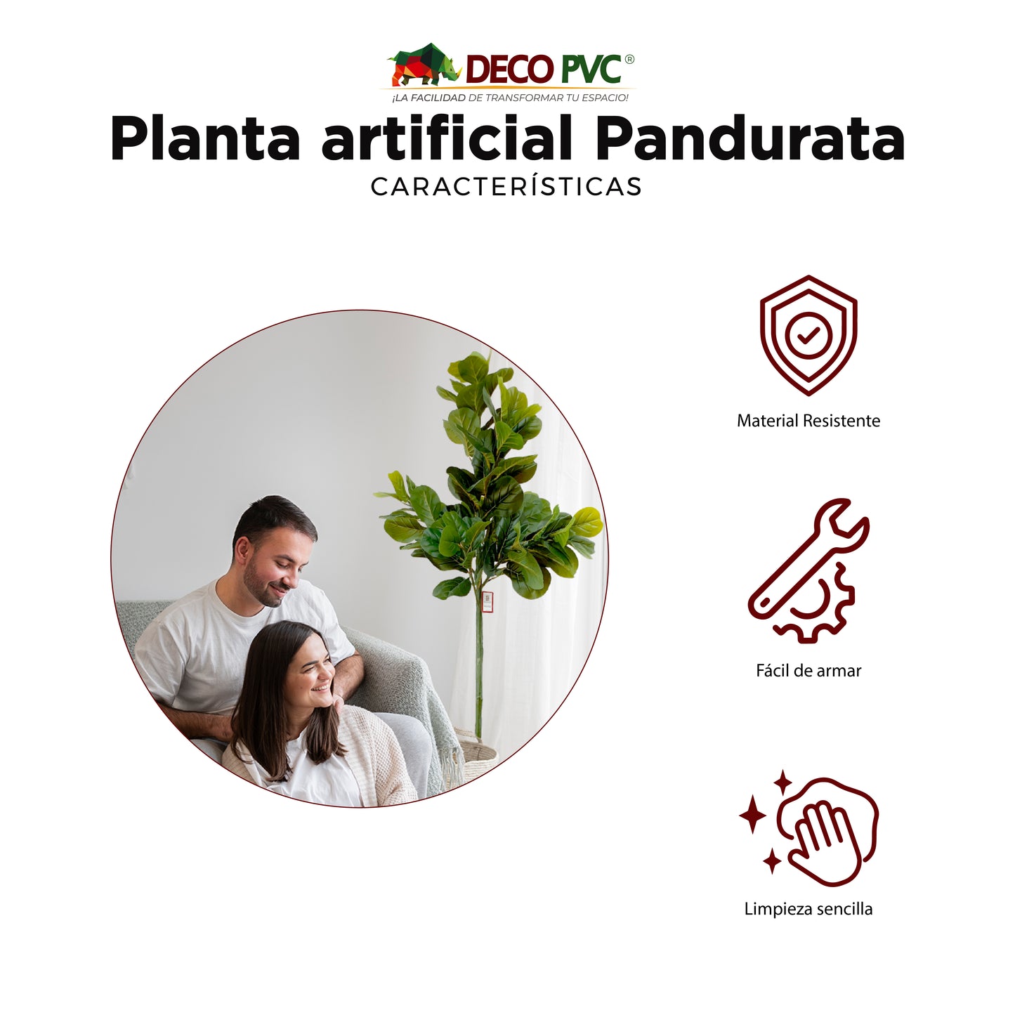 Planta Pandurata - DECOFLORA®