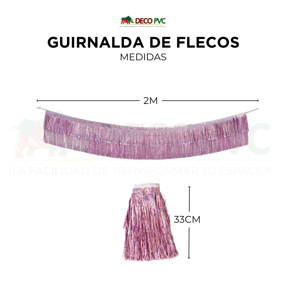 Guirnalda de Fleco Plateado