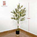 Planta Olivo - DECOFLORA®1.20m