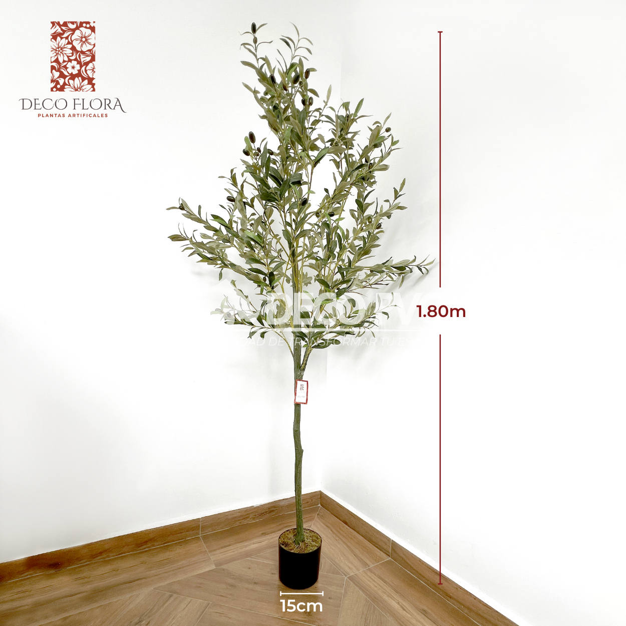 Planta Olivo - DECOFLORA®