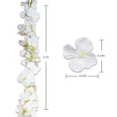 Guias Florales Wisterias - DECOFLORA®WISTERIA NIEVE